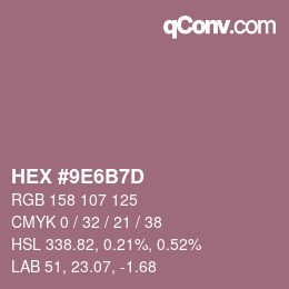Color code: HEX #9E6B7D | qconv.com