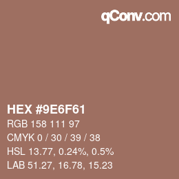颜色代码: HEX #9E6F61 | qconv.com