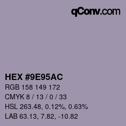 颜色代码: HEX #9E95AC | qconv.com