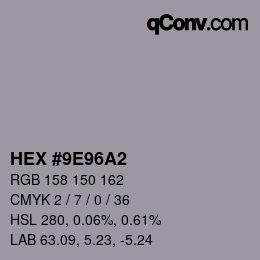 颜色代码: HEX #9E96A2 | qconv.com