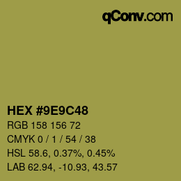 Color code: HEX #9E9C48 | qconv.com