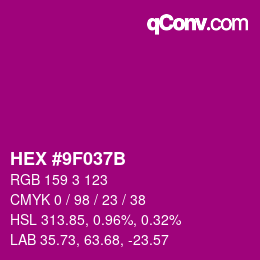 Color code: HEX #9F037B | qconv.com