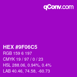 Color code: HEX #9F06C5 | qconv.com