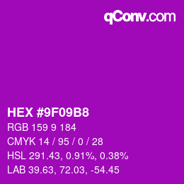 Color code: HEX #9F09B8 | qconv.com
