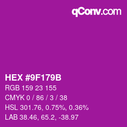 Color code: HEX #9F179B | qconv.com