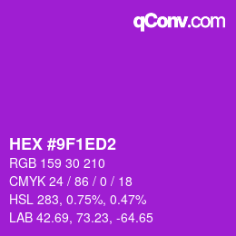 Color code: HEX #9F1ED2 | qconv.com