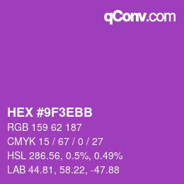 Color code: HEX #9F3EBB | qconv.com