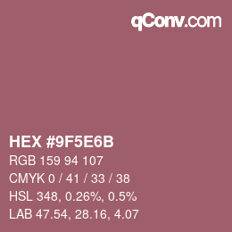 Código de color: HEX #9F5E6B | qconv.com
