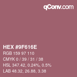 Color code: HEX #9F616E | qconv.com