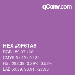 Color code: HEX #9F61A8 | qconv.com