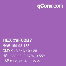 颜色代码: HEX #9F62B7 | qconv.com