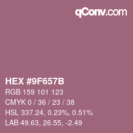 颜色代码: HEX #9F657B | qconv.com