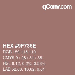 Color code: HEX #9F736E | qconv.com