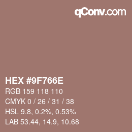 Color code: HEX #9F766E | qconv.com