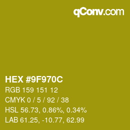 Color code: HEX #9F970C | qconv.com