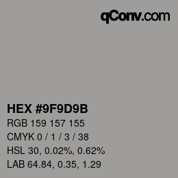 Color code: HEX #9F9D9B | qconv.com