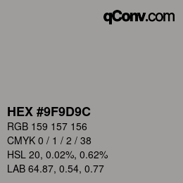 Color code: HEX #9F9D9C | qconv.com