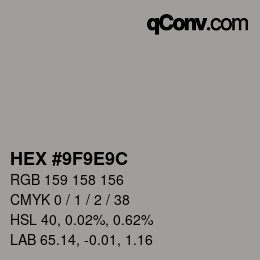 Color code: HEX #9F9E9C | qconv.com