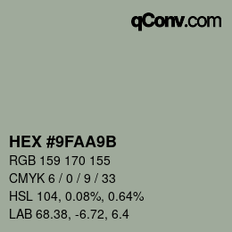 Color code: HEX #9FAA9B | qconv.com