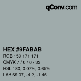 Color code: HEX #9FABAB | qconv.com