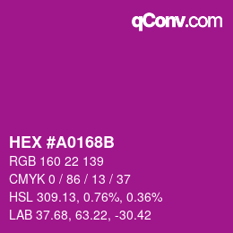 Color code: HEX #A0168B | qconv.com