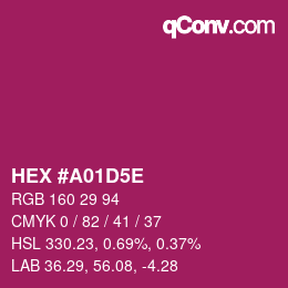 Color code: HEX #A01D5E | qconv.com
