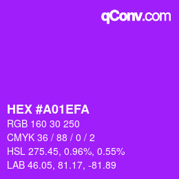 颜色代码: HEX #A01EFA | qconv.com