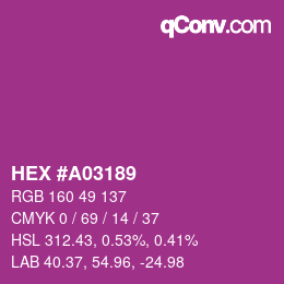 颜色代码: HEX #A03189 | qconv.com