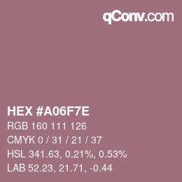 Color code: HEX #A06F7E | qconv.com