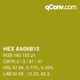 カラーコード: HEX #A09B15 | qconv.com