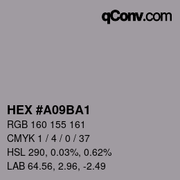 Color code: HEX #A09BA1 | qconv.com