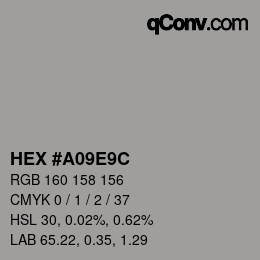 Color code: HEX #A09E9C | qconv.com