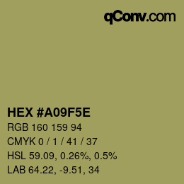 Color code: HEX #A09F5E | qconv.com