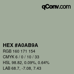 Color code: HEX #A0AB9A | qconv.com