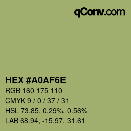 Color code: HEX #A0AF6E | qconv.com