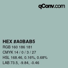 Color code: HEX #A0BAB5 | qconv.com