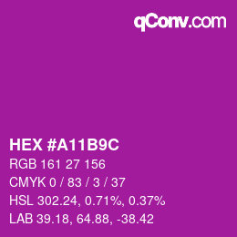 Color code: HEX #A11B9C | qconv.com