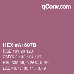 Farbcode: HEX #A1607B | qconv.com