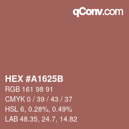 Color code: HEX #A1625B | qconv.com