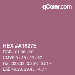 Color code: HEX #A1627E | qconv.com