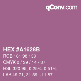 カラーコード: HEX #A1628B | qconv.com