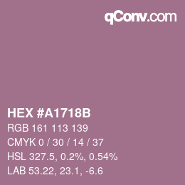 Color code: HEX #A1718B | qconv.com