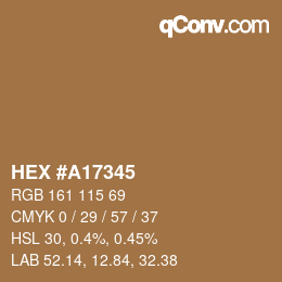 カラーコード: HEX #A17345 | qconv.com