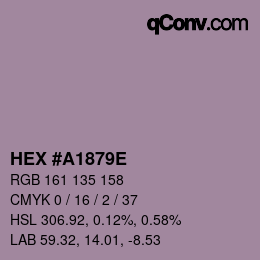 Color code: HEX #A1879E | qconv.com