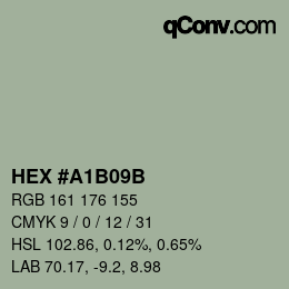 Color code: HEX #A1B09B | qconv.com