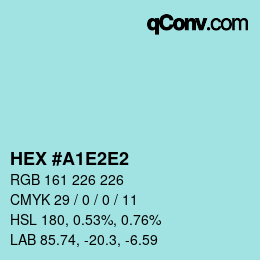 Color code: HEX #A1E2E2 | qconv.com