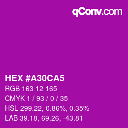 Color code: HEX #A30CA5 | qconv.com