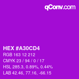 颜色代码: HEX #A30CD4 | qconv.com