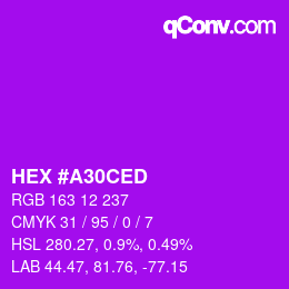 カラーコード: HEX #A30CED | qconv.com