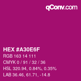 Color code: HEX #A30E6F | qconv.com